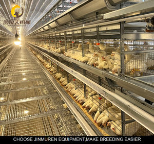 Jaula para Gallinas <span class=keywords><strong>de</strong></span> 3 y 4 Niveles, Jaulas para Pollos Tipo H Galvanizadas en Oferta, Jaula para Gallos Totalmente Automatizada, Equipo para Granjas Avícolas - Product Image 1