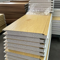 Panneau sandwich décoratif isolant en EPS, panneau en mousse, panneau thermique imperméable pour la construction en acier, revêtement mural pour maison miniature