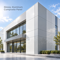 Panneau composite en aluminium brillant 4 mm 4x8 pieds, revêtement FEVE, panneau ACM argenté pour façades architecturales