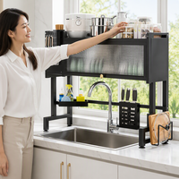 Égouttoir à vaisselle 2 niveaux pour évier de cuisine, support de rangement gain de place avec porte-ustensiles