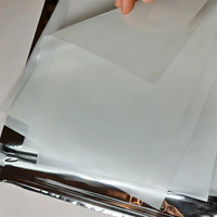 Feuilles de papier sucre givré vierges ou à imprimer soi-même, format A4, pour décoration de gâteaux, impression comestible