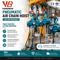 Palans à chaîne pneumatiques 0,25t 0,5t 1t 2t 3 tonnes, 125 kg, sans étincelles, faible consommation d'air pour cimenterie, service OEM ODM