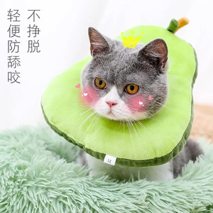 Pet <b>Trainer</b> Collar Soft PP Cotton Floral Pattern For Cats And Dogs Elizabethan Collar With Head Cover - Product Image 2