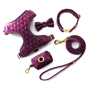 Conjunto de Arnés para Perro de Terciopelo Rojo con Colores y Patrones Personalizados 2025, con Hebillas de Metal Oro Rosa, Apto para Cachorros - Product Image 4