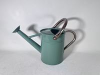 Arrosoir en acier vintage durable personnalisé de 3,8 L pour plantes d'intérieur/extérieur