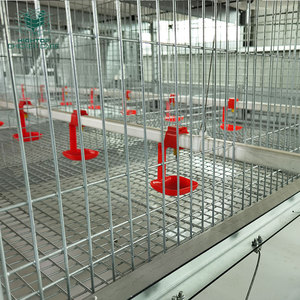Hightop komple otomatik Pullets yetiştirme tavuk broş bebek civciv kafes kanatlı çiftlik <span class=keywords><strong>Coop</strong></span> için - Product Image 5