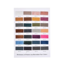 Outil de conception de dictionnaire de crin de cheval coloré pour carte de couleur de crin de cheval produit en cuir fabriqué en Stock