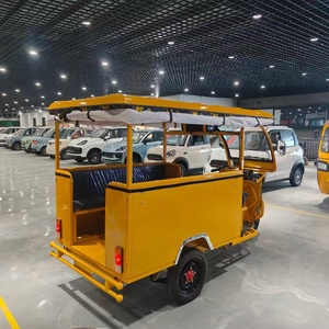 Triciclo Ejecutivo de Alto Rendimiento para Adultos con Velocidad de 60 km/h, Capacidad de Carga de 600 kg, Tiempo de Carga de 6-8 Horas, Modelo Executive Tu - Product Image 6