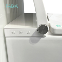 FABIA WC mural automatique en céramique certifié CE, bidet électrique de luxe, économie d'eau, lavage automatique, 110V, siphon en P, vente en gros