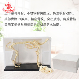 PVC - Product Image 3