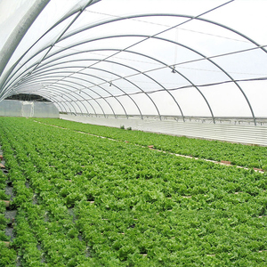 Serre commerciale polytunnel, tunnel haute performance, serre type Quonset - Product Image 4