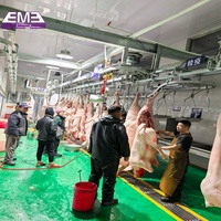 Équipement d'abattage de porcs professionnel pour abattoir, ligne de machines de boucherie porcine