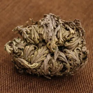 Juan Bai Miraculous plants Rose of Jericho Herb Dried Selaginella tamariscina