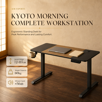 Bureau debout électrique AOR pour télétravail, hauteur réglable, MDF, certifié CE, acier inoxydable avec rangement, durable, vente en gros usine