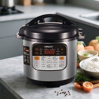 Autocuiseur Électrique Intelligent Personnalisé HALEY 8L – Pot Multifonctionnel Intelligent pour Importateurs Domestiques – Stock Prêt à l'emploi