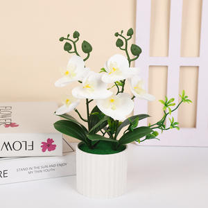 Arreglo de Plantas Artificiales Transfronterizo con una Orquídea Phalaenopsis en Forma de Bonsái con Flores Artificiales en 3D - Product Image 4