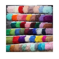 Vente en gros de dentelle de plumes d'autruche durable de 10 à 15cm pour robes et sacs à main Garnitures et franges en plumes d'autruche moelleuses de 10 à 15cm