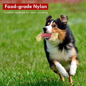 Non-Toxic Food Grade Nylon <strong>Dog</strong> <strong>Bone</strong> Durable <strong>Dog</strong> Teething Chew Toys <strong>Bones</strong> for Puppies - Product Image 4