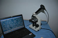 Microscope numérique de caméra de Microscope de CMOS 1280*1024 pour la machine numérique de réparation mobile industrielle pour la soudure de carte PCB
