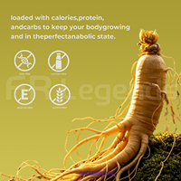 Pilules de ginseng naturelles originales, stimulent l'appétit, capsules pour l'immunité, booster d'énergie, complément alimentaire sain pour la prise de poids et le bien-être général