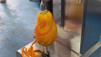 Groothandelsprijs Ananas Schilmachine Multifunctionele Fruitschilmachine