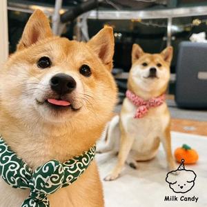 Pañuelo para mascotas con diseño de limón y arabescos japoneses, estilo Shiba Inu, para gatos y perros, ideal para vacaciones, de celebridad online transfronteriza. - Product Image 2
