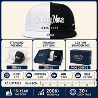 Casquette Snapback Bicolore à Visière Plate Six Panneaux Réglable Streetwear Broderie Logo Personnalisé OEM Vente en Gros Faible MOQ