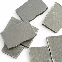 SS-S103 24*13/14*5.6/6.2mm Segments diamantés polis en forme de B, pièces d'outillage électrique OEM pour lame de coupe diamantée et lame de scie à granit