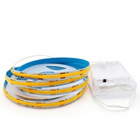 Lampu Strip LED COB 320 5V 8mm IP20 dengan Kotak Baterai, Ultra Terang, Kepadatan Tinggi, Fleksibel, Nirkabel, Portabel, Dekorasi Dalam & Luar Ruangan