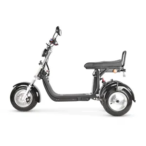 Hoge Kwaliteit Goedkope Custom Eeg Citycoco/Elektrische Scooter Citycoco/Scrooser/Elektrische Scooter