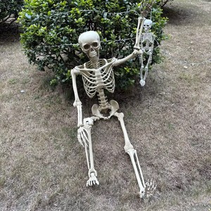Nuevo Esqueleto Humano Gigante Realista de 152 cm (60 Pulgadas/10 pies) para Decoración de Jardín, Ideal para Accesorios de Halloween al Aire Libre, 2026 - Product Image 3