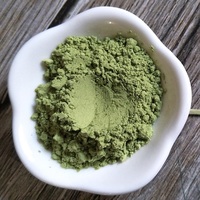 Ventes directes d'usine de haute qualité assaisonnement alimentaire japonais raifort vert Halal poudre de wasabi