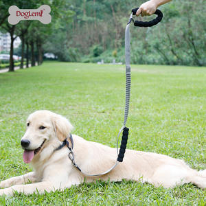 Conjunto de correa de collar de perro de nailon de lujo más vendido Control de tráfico de entrenamiento antitirones Bungge 2 estampado absorbente de golpes - Product Image 5