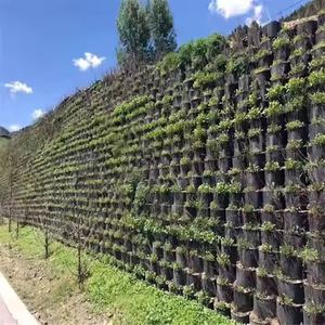 Pavé <span class=keywords><strong>de</strong></span> grille au sol Geocell HDPE texturé avec trous pour <span class=keywords><strong>mur</strong></span> <span class=keywords><strong>de</strong></span> soutènement d'allée <span class=keywords><strong>de</strong></span> parking <span class=keywords><strong>de</strong></span> protection <span class=keywords><strong>de</strong></span> <span class=keywords><strong>pente</strong></span> <span class=keywords><strong>de</strong></span> <span class=keywords><strong>fondation</strong></span> <span class=keywords><strong>de</strong></span> route - Product Image 5