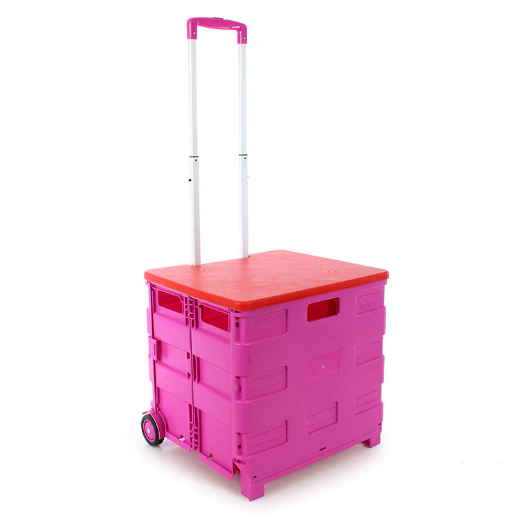 มีสีสัน