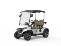 Voiturette de golf électrique 2 places avec batterie au lithium, personnalisable en couleur et logo, nouvelle arrivée, pour parcours de golf et complexe hôtelier