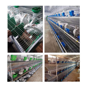 Jaula industrial para conejos, jaula industrial de 9/células para cría comercial 12/24, granja, carne y conejo, en venta - Product Image 6