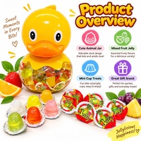 Fruit-flavour mini jellybekers, schattige eendjesverpakking, kant-en-klaar jelly snacks