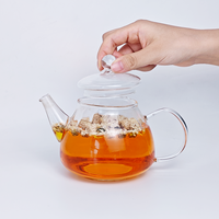 Théière en verre de 600 à 1600 ml, entièrement en verre transparent, résistante à la chaleur, pour le thé parfumé, le café froid et la préparation de boissons estivales