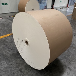Fournisseur de papier JW, papier cartonné enduit de PE, rouleau de carton alimentaire, meilleur prix - Product Image 6