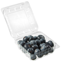 Conteneur en plastique PET transparent jetable de 125 g pour myrtilles, boîte d'emballage pour fruits frais à emporter