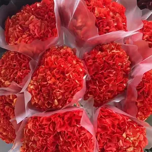 Flores de hortensia de hoja grande preservadas de tacto real para decoración de bodas