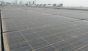 طعام من أجل بقع الزيت ، فعال في بقايا الجل ، أكاسيد النيتروجين ، فضلات الطيور ، سائل الطين - Product Image 5