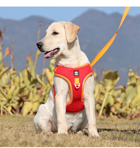 Hot Sale New Polyester Pet Safety Leash <strong>Harness</strong> Vest Dog Chest Straps Reflective Dog <strong>Harness</strong> - Product Image 6