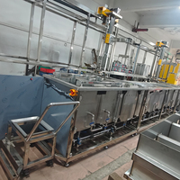 Máquina de Limpieza Ultrasónica Industrial Automática PLC con HMI y Manipulador Mecánico para Limpieza de DPF, Inyectores y Motores Automotrices