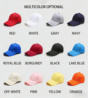 Casquettes Trucker en Maille Personnalisées en Gros, Casquettes en Mousse Vierge pour Sublimation, Idéales pour Événements Sportifs et Campagnes Électorales, Vente Directe Usine
