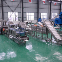 Gaas Transportband Voor Het Wassen Van Fruit En Groente Watermeloen Datum Perzik Abrikoos Ui Bubble Reinigingsmachine