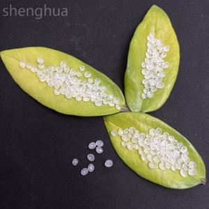 Copolymère de particules de résine de polypropylène de granules de pp de matière première en plastique de Sinopec pour la vierge 100% de catégorie de raphia - Product Image 3
