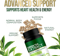 Capsules de thé vert matcha végétalien en gros – Antioxydant beauté, brûle-graisse, amincissant – Compléments alimentaires à l'extrait de thé vert pour femmes