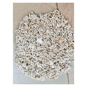 Producto Agrícola de Primera Calidad, Alimento para Animales, Semillas de Algodón Enteras para la Venta al Por Mayor - Product Image 1